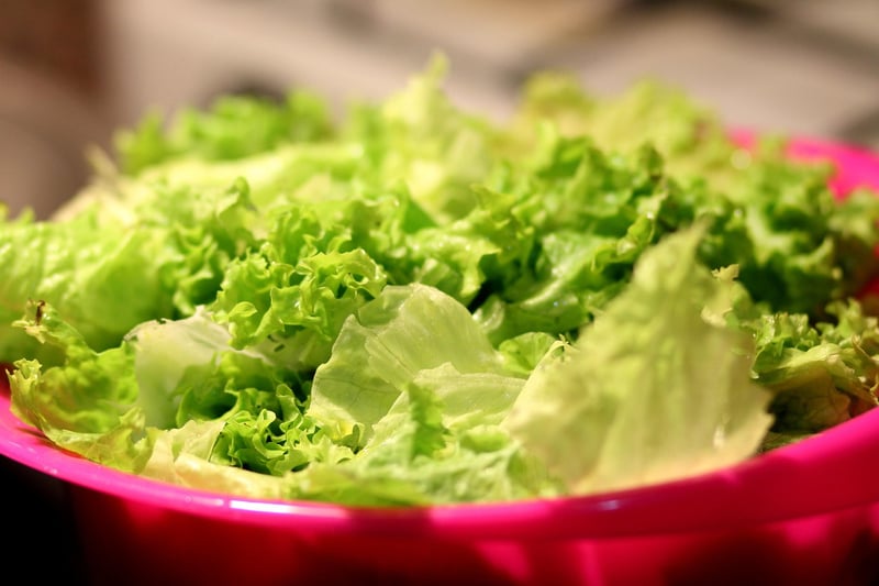 Garden-inspired Cuisine